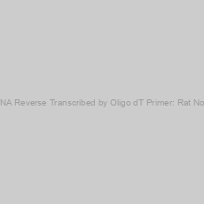 Image of Universal cDNA Reverse Transcribed by Oligo dT Primer: Rat Normal Tissues